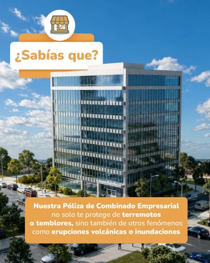 Combinado Empresarial